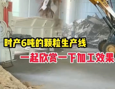 Production line with a capacity of 6 tons of granules per hour